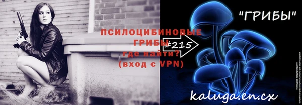 шишки Абинск