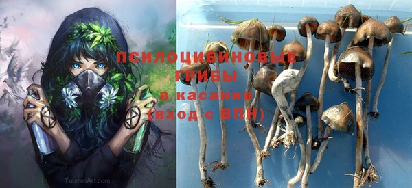 не бодяженный Абаза