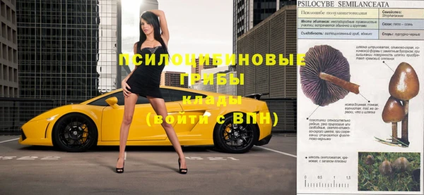шишки Абинск