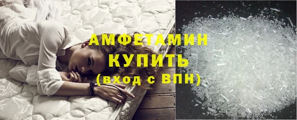 шишки Абинск